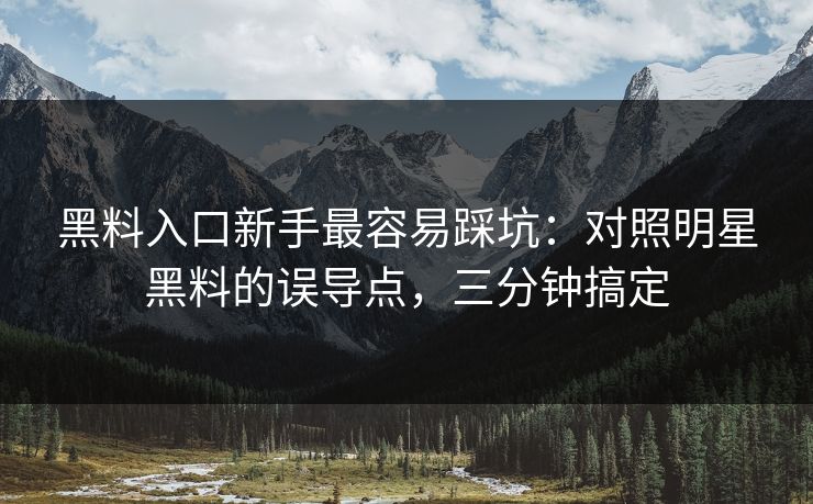 黑料入口新手最容易踩坑：对照明星黑料的误导点，三分钟搞定-第1张图片-P站视频聚合与导航平台