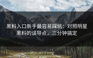 黑料入口新手最容易踩坑：对照明星黑料的误导点，三分钟搞定